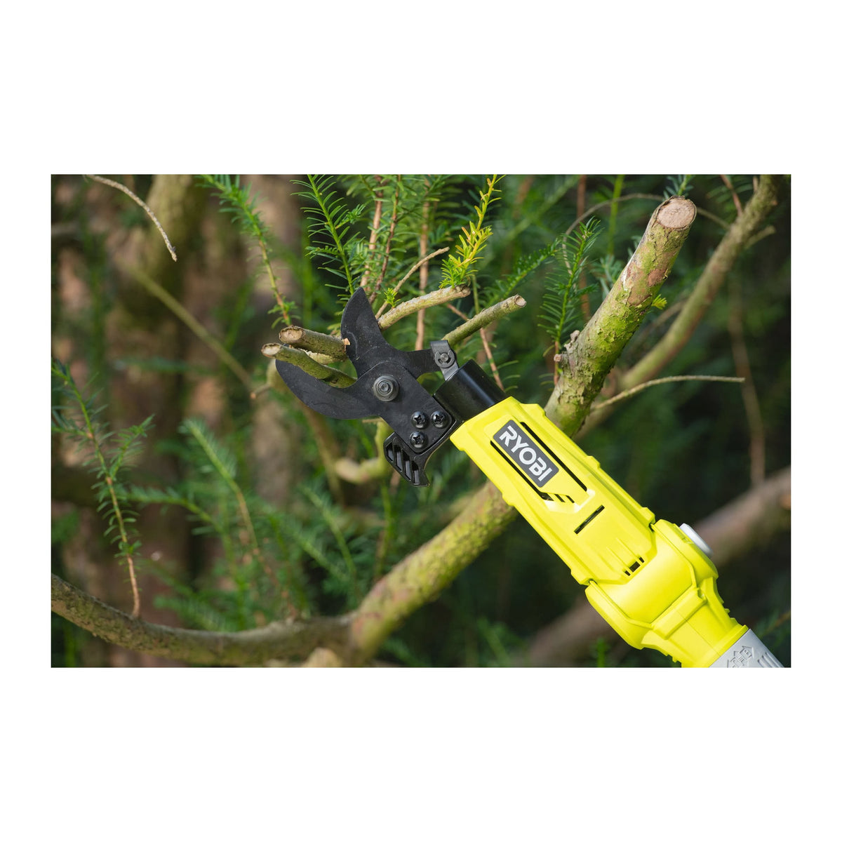 Foarfeca pentru crengi telescopica 18V ONE+ (fara acumulator) - RY18PLA-0